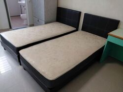 Blk 244 Tampines Street 21 (Tampines), HDB 5 Rooms #631129741